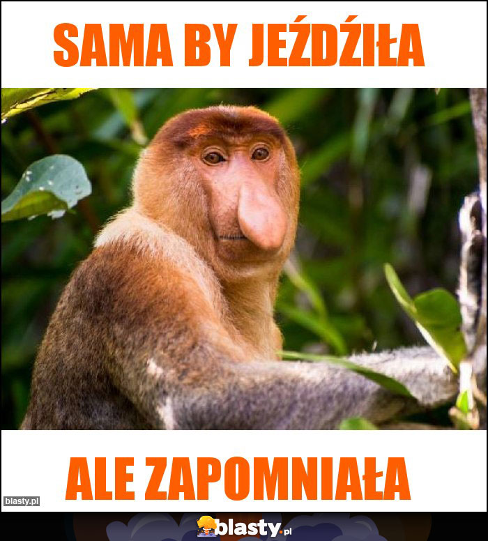 Sama by jeźdźiła Sama by jeźdźiła