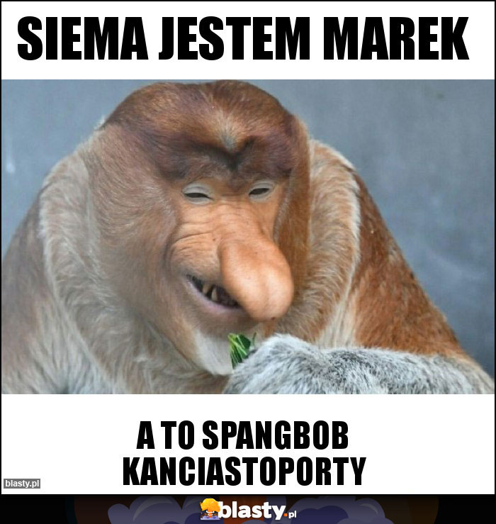 Siema jestem Marek Siema jestem Marek