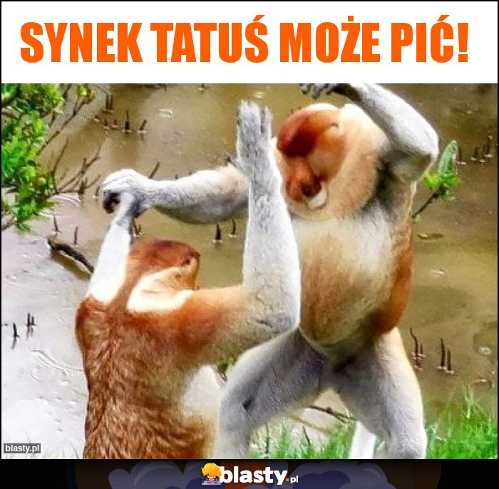Synek tatuś może pić! Synek tatuś może pić!
