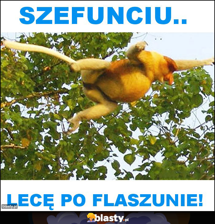 Szefunciu.. Szefunciu..