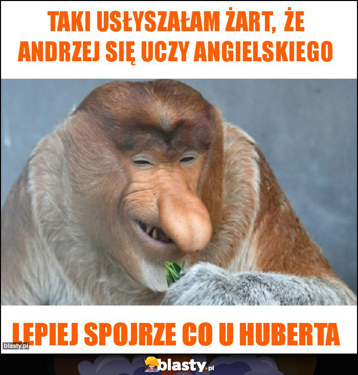 Taki usłyszałam żart, że Andrzej się uczy angielskiego Taki usłyszałam żart, że Andrzej się uczy angielskiego