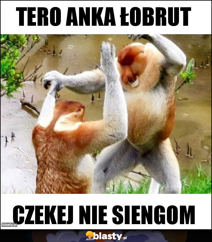 Tero Anka łobrut Tero Anka łobrut