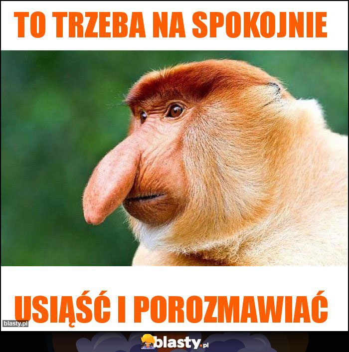 to trzeba na spokojnie to trzeba na spokojnie