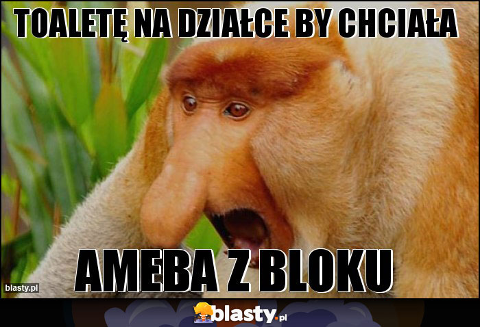 Toaletę na działce by chciała Toaletę na działce by chciała