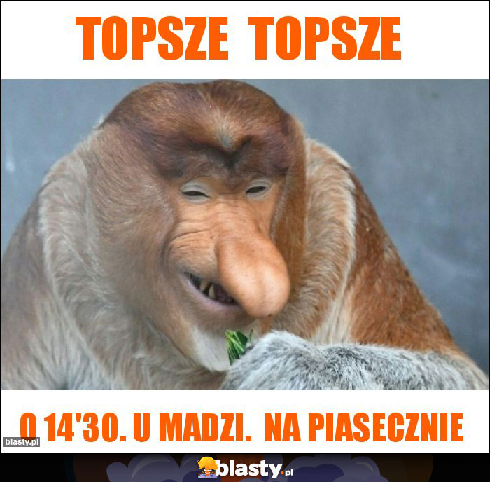 Topsze topsze Topsze topsze