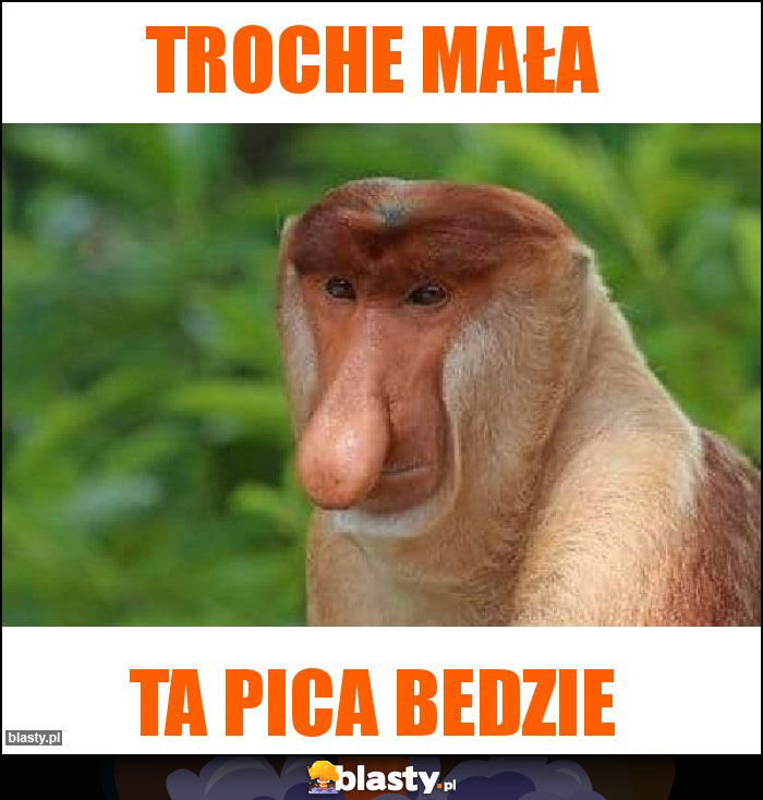 troche mała troche mała