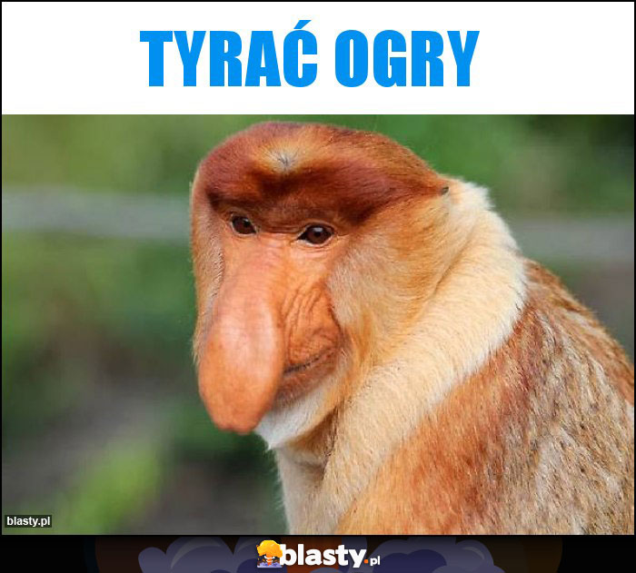 Tyrać ogry Tyrać ogry