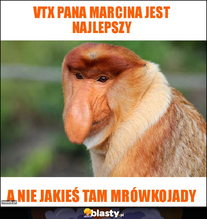 VTX Pana Marcina jest najlepszy VTX Pana Marcina jest najlepszy