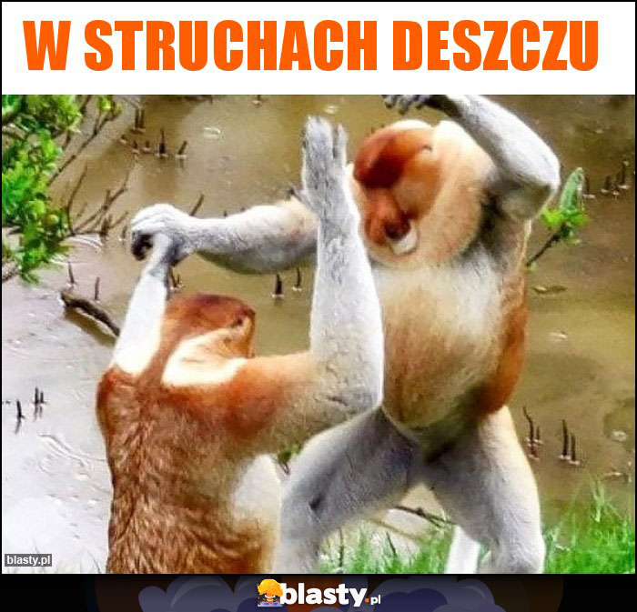 W struchach deszczu W struchach deszczu