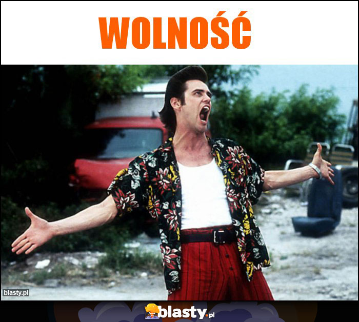 wolność