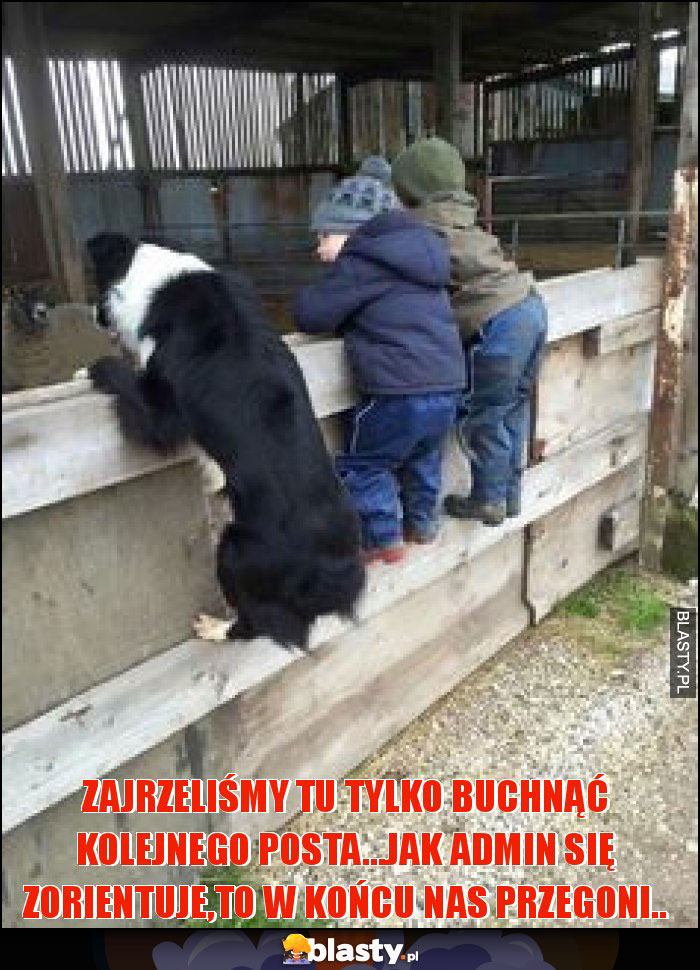 zajrzeliśmy tu tylko buchnąć kolejnego posta...jak admin się zorientuje,to w końcu nas przegoni.. zajrzeliśmy tu tylko buchnąć kolejnego posta...jak admin się zorientuje,to w końcu nas przegoni..