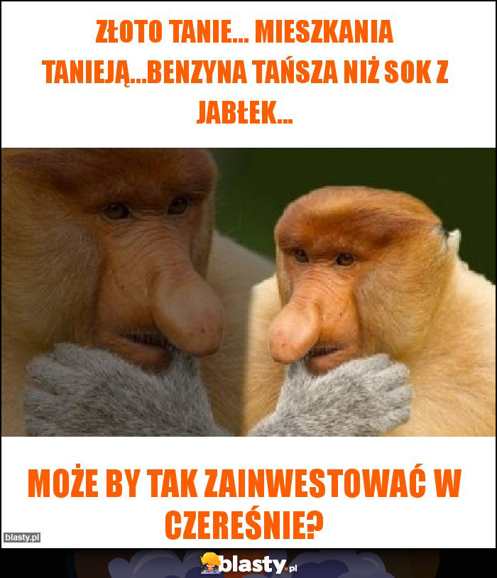 Złoto tanie... Mieszkania tanieją...benzyna tańsza niż sok z jabłek... Złoto tanie... Mieszkania tanieją...benzyna tańsza niż sok z jabłek...