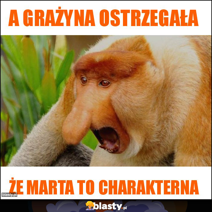 A grażyna ostrzegała A grażyna ostrzegała