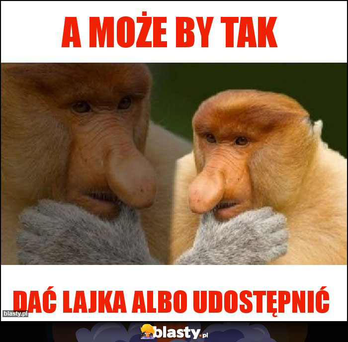 a może by tak a może by tak