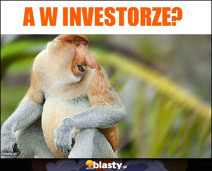 a w Investorze? a w Investorze?