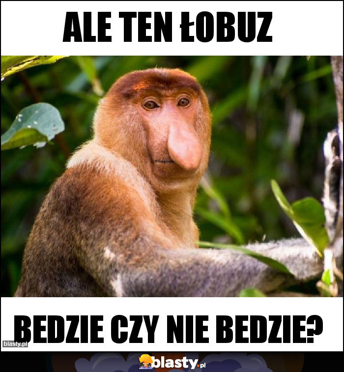 Ale ten łobuz Ale ten łobuz