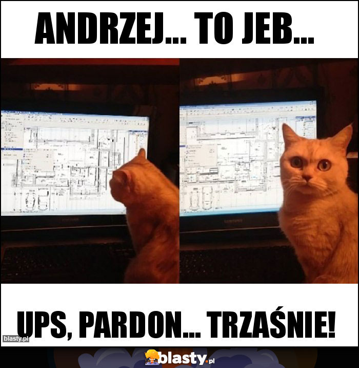 Andrzej... To jeb... Andrzej... To jeb...