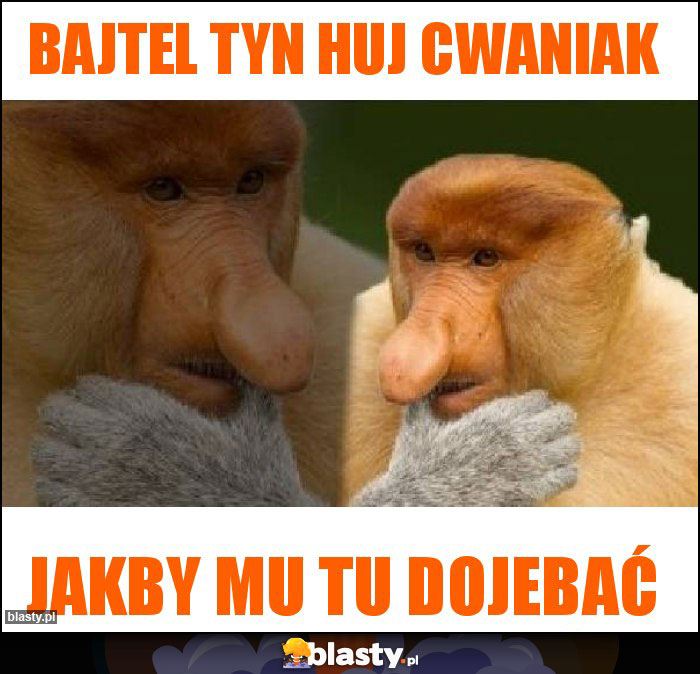 Bajtel tyn huj cwaniak Bajtel tyn huj cwaniak