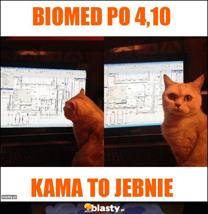Biomed po 4,10 Biomed po 4,10