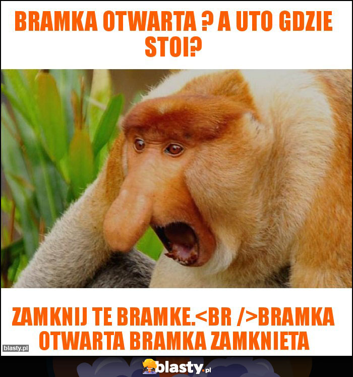 Bramka otwarta ? A uto gdzie stoi? Bramka otwarta ? A uto gdzie stoi?