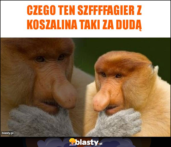 Czego ten szffffagier z Koszalina taki za Dudą Czego ten szffffagier z Koszalina taki za Dudą