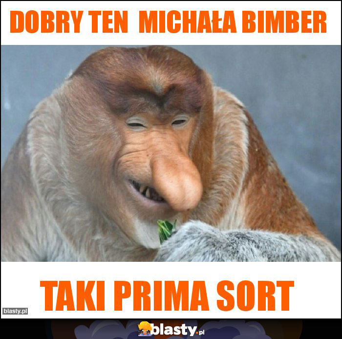 Dobry ten Michała bimber Dobry ten Michała bimber