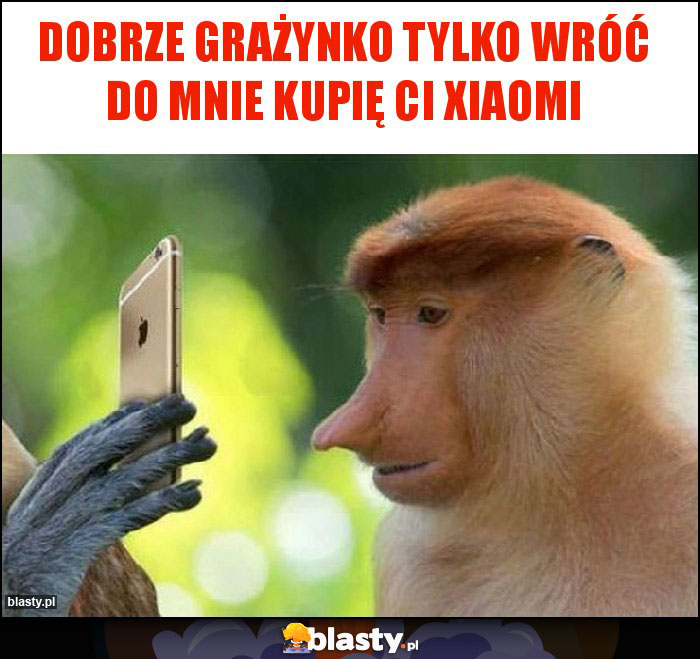 Dobrze Grażynko tylko wróć do mnie kupię ci Xiaomi Dobrze Grażynko tylko wróć do mnie kupię ci Xiaomi