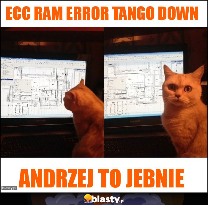 ECC RAM ERROR TANGO DOWN ECC RAM ERROR TANGO DOWN