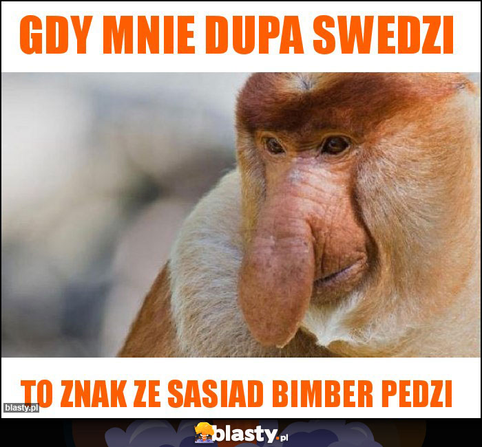 Gdy mnie dupa swedzi Gdy mnie dupa swedzi