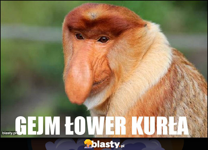 GEJM ŁOWER KURŁA GEJM ŁOWER KURŁA