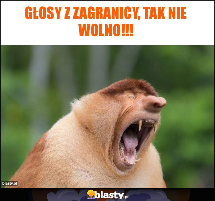 głosy z zagranicy, tak nie wolno!!! głosy z zagranicy, tak nie wolno!!!