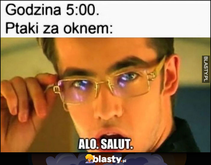 Godzina 5 rano, ptaki za oknem alo, salut