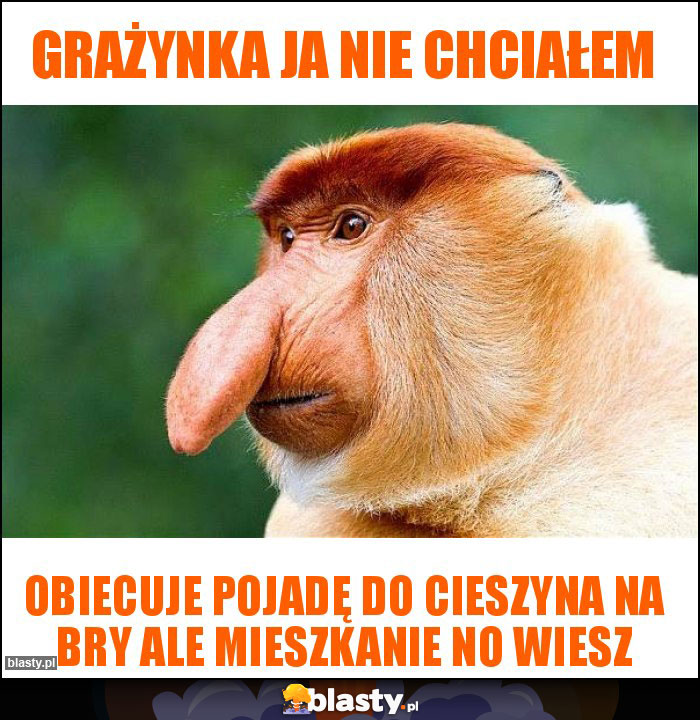 Grażynka ja nie chciałem Grażynka ja nie chciałem