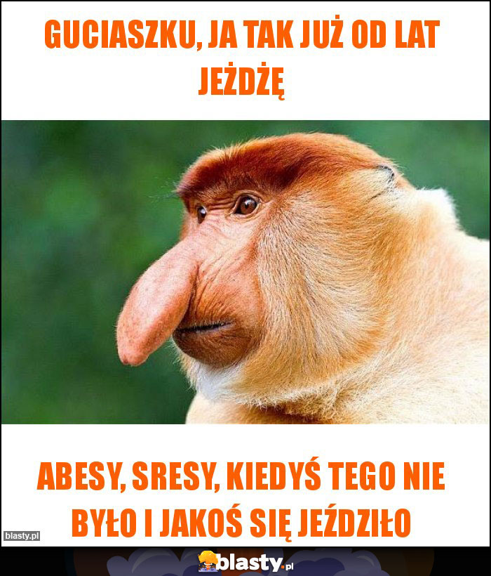 Guciaszku, ja tak już od lat jeżdżę Guciaszku, ja tak już od lat jeżdżę