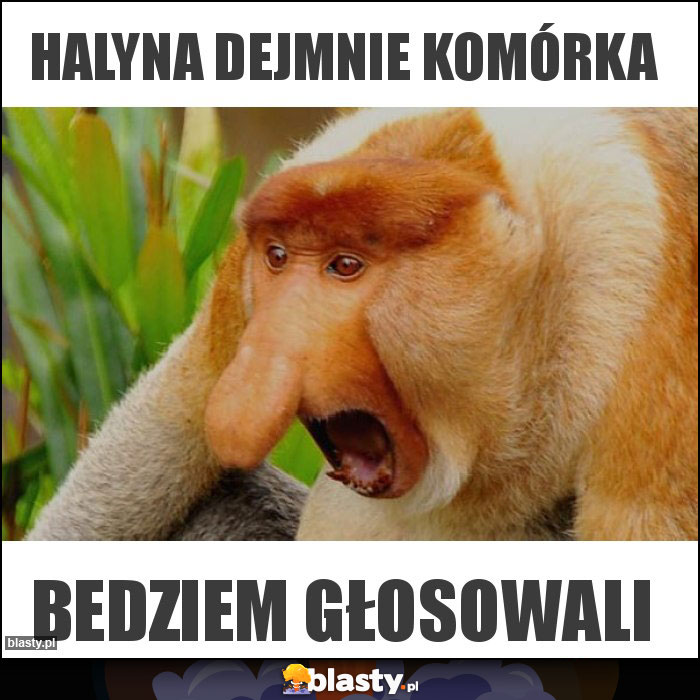 HALYNA DEJMNIE KOMÓRKA HALYNA DEJMNIE KOMÓRKA