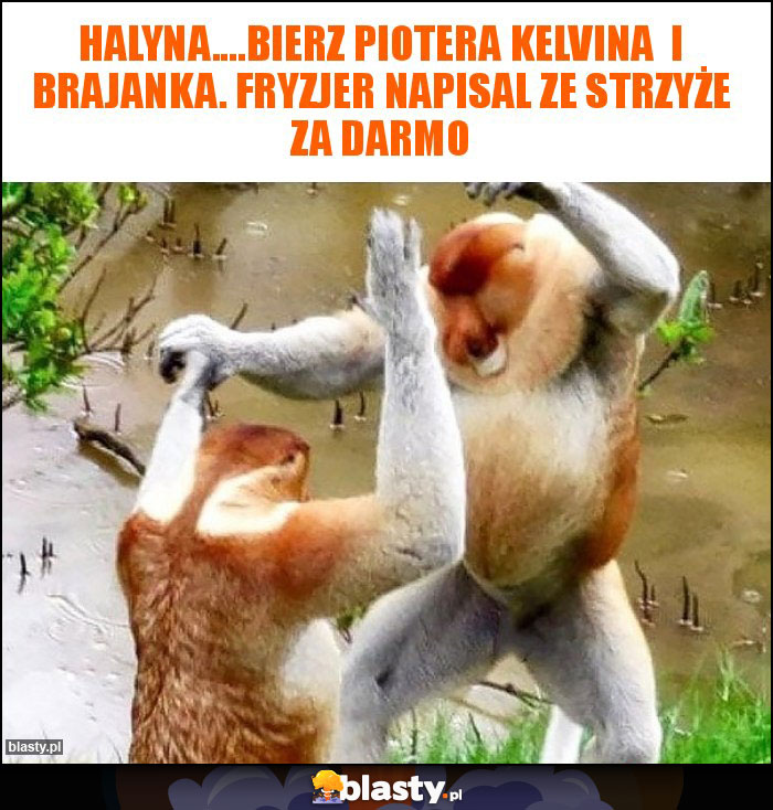 Halyna....bierz piotera kelvina i brajanka. Fryzjer napisal ze strzyże za darmo Halyna....bierz piotera kelvina i brajanka. Fryzjer napisal ze strzyże za darmo