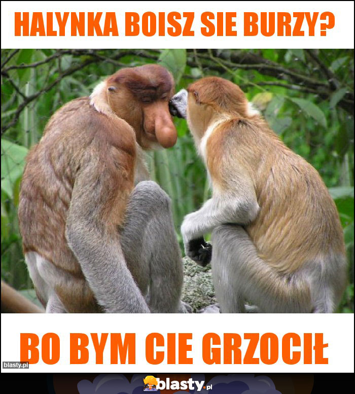 halynka boisz sie burzy? halynka boisz sie burzy?