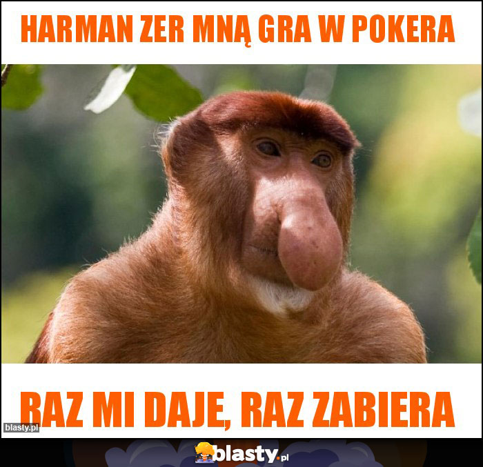 HARMAN ZER MNĄ GRA W POKERA HARMAN ZER MNĄ GRA W POKERA