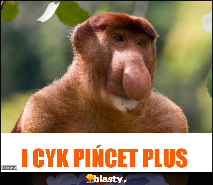 I CYK PIŃCET PLUS I CYK PIŃCET PLUS