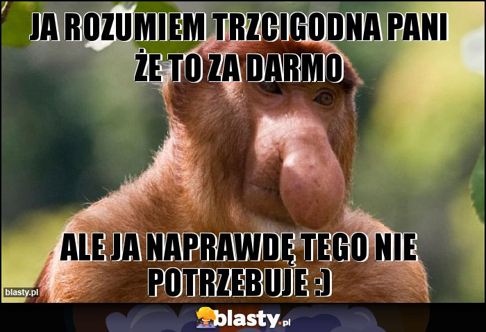 Ja rozumiem trzcigodna Pani że to za darmo Ja rozumiem trzcigodna Pani że to za darmo
