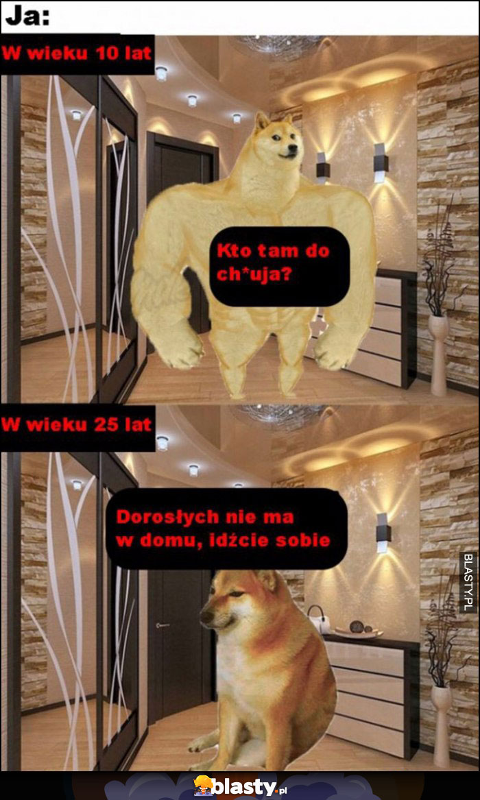 Ja w wieku 10 lat kto tam, w wieku 25 lat dorosłych nie ma w domu idźcie sobie pieseł pies doge