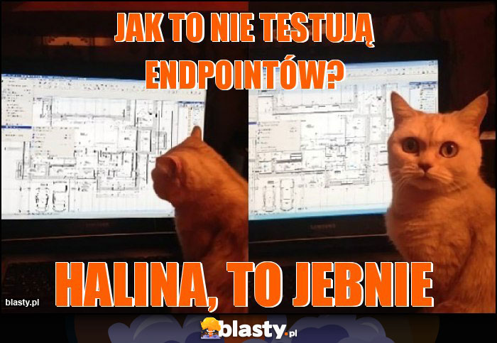 Jak to nie testują endpointów? Jak to nie testują endpointów?
