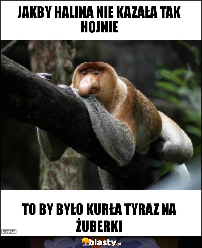 JAKBY HALINA NIE KAZAŁA TAK HOJNIE JAKBY HALINA NIE KAZAŁA TAK HOJNIE