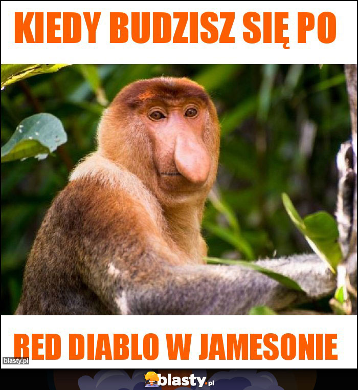 Kiedy budzisz się po Kiedy budzisz się po