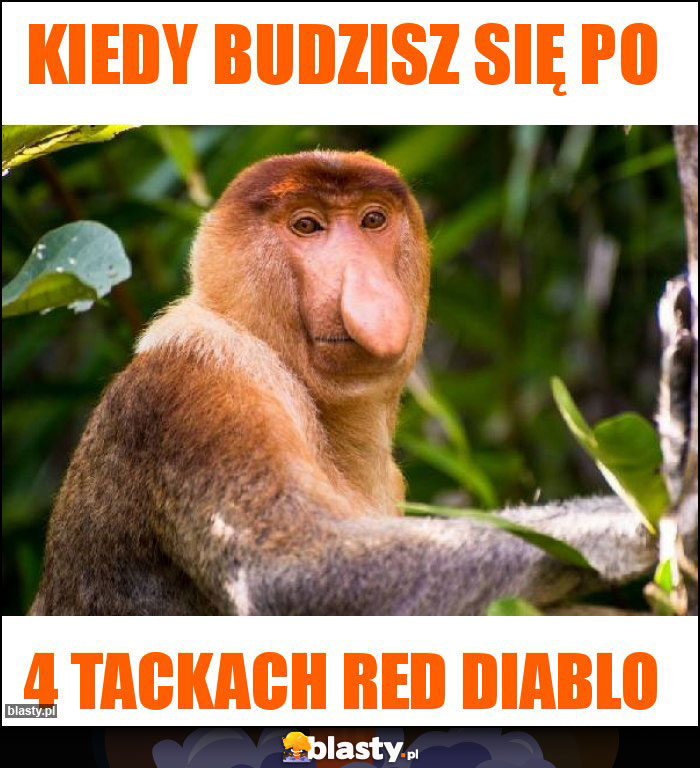 Kiedy budzisz się po Kiedy budzisz się po