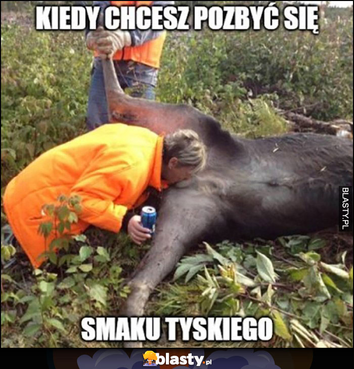 Kiedy chcesz pozbyć się smaku Tyskiego z ust