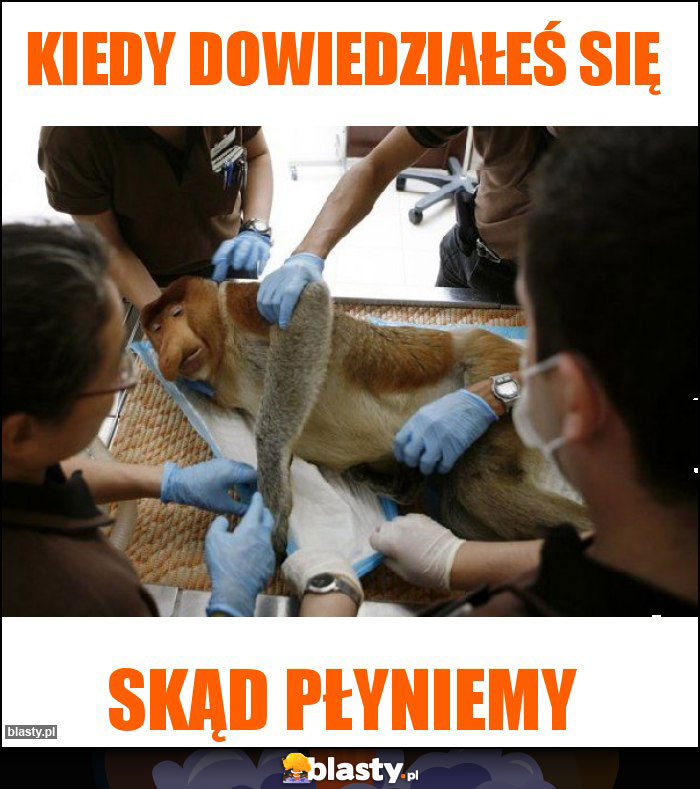 Kiedy dowiedziałeś się Kiedy dowiedziałeś się