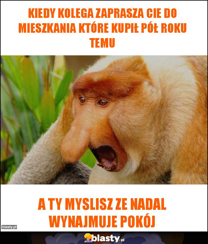 Kiedy kolega zaprasza Cie do mieszkania które kupił pół roku temu Kiedy kolega zaprasza Cie do mieszkania które kupił pół roku temu
