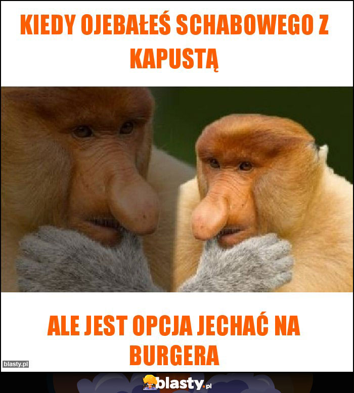 Kiedy ojebałeś schabowego z kapustą Kiedy ojebałeś schabowego z kapustą