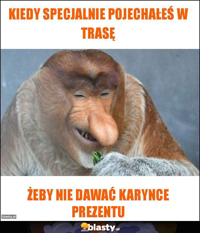 Kiedy specjalnie pojechałeś w trasę Kiedy specjalnie pojechałeś w trasę